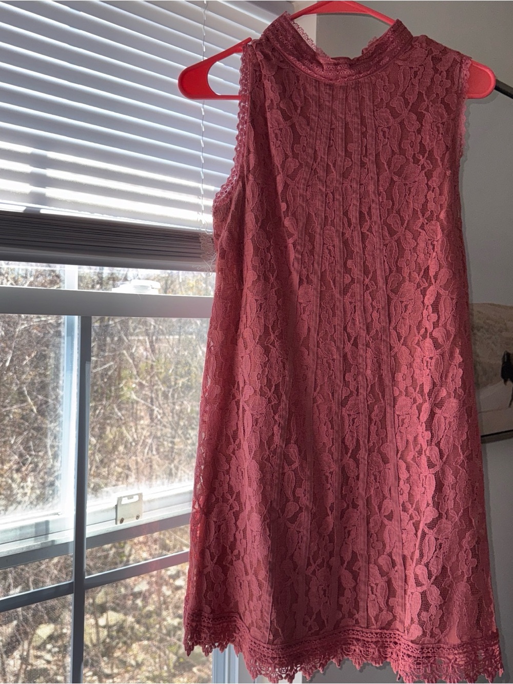 Xhilaration Lace-Trim Dress in Rose Mauve